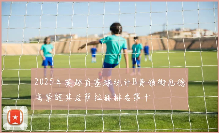 2025年英超直塞球统计B费领衔厄德高紧随其后萨拉赫排名第十