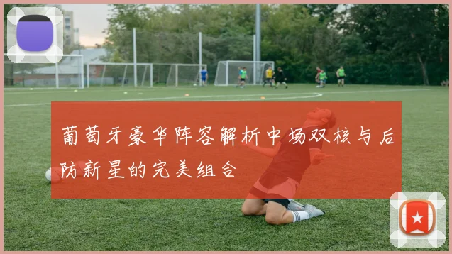 葡萄牙豪华阵容解析中场双核与后防新星的完美组合