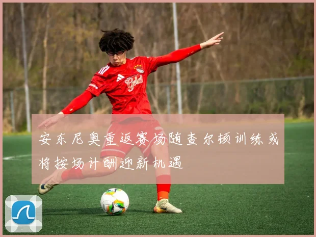 安东尼奥重返赛场随查尔顿训练或将按场计酬迎新机遇
